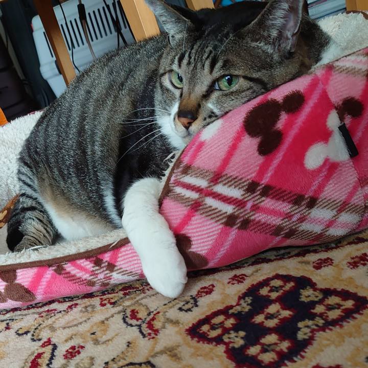 E03690ab 95ab 49ea 802e 9024f4cf3b72 1618278551457