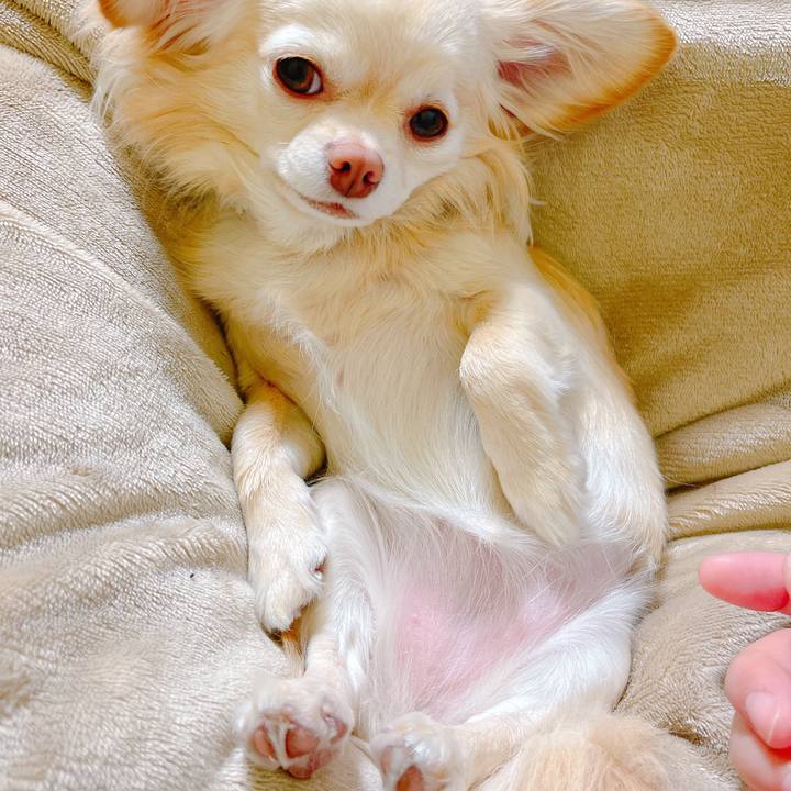 E036c84b e743 4a0d a661 9b60515284e2 1648037834754