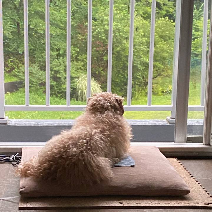 E036cdec f40b 4056 96ec 844c18d47605 1691270590476