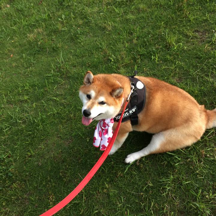 E036faa4 0b7f 4f56 970b 003d26d219e2 1595232586138