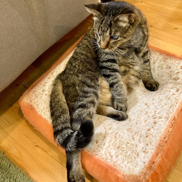 E0374434 daa7 446c a66f a1aa6cb9e640 1634302981791