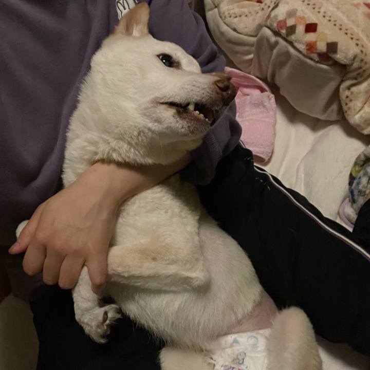 E03756ed af72 4f10 8598 603e1633a23b 1669828761143