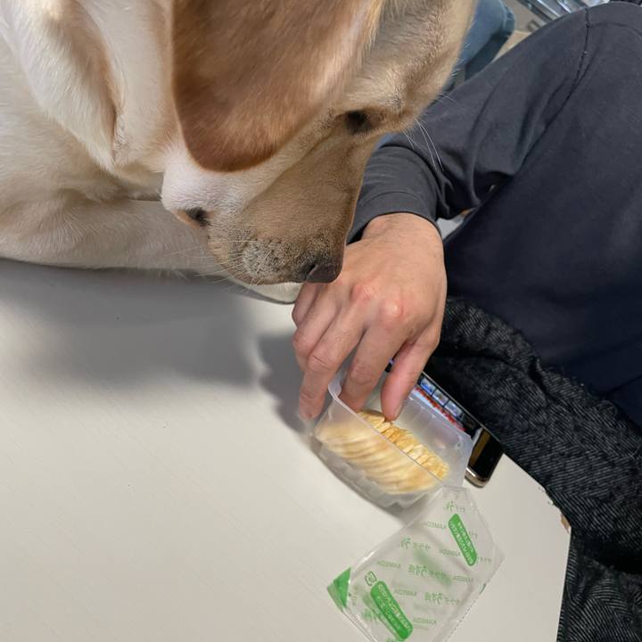 E0375ff4 0e45 4c08 a028 1a6488941ceb 1647765610429