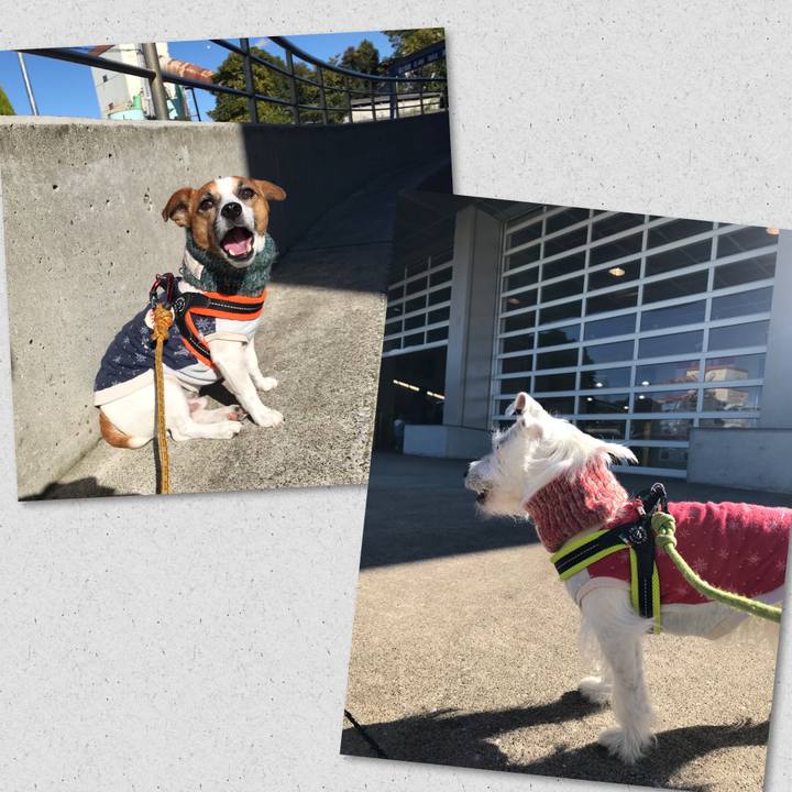 E037be4a 27b6 4303 bc47 f4951c11c24e 1511495183796