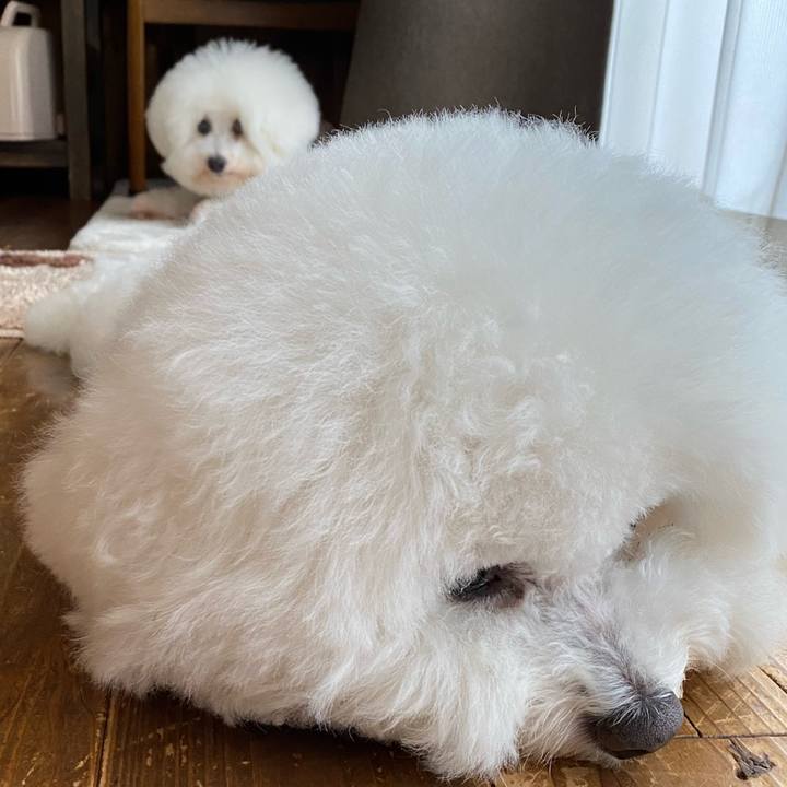 E037c08c a4a1 4c2b 8505 2b54b222ab78 1684828887725