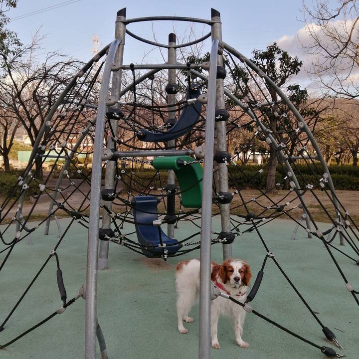 E0382c53 ab53 44ee ac4f 171e83d4950f 1578569610138