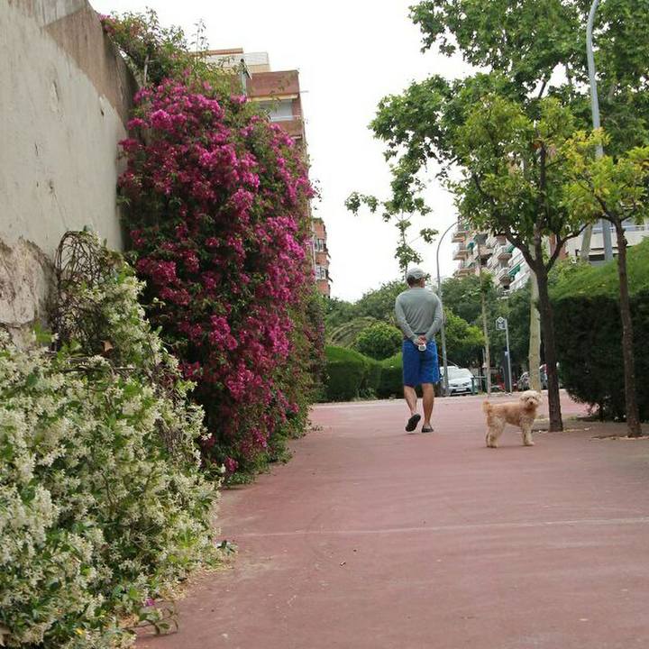 E0383f93 f6a8 4421 9440 c950f6adf9c0 1589464510175