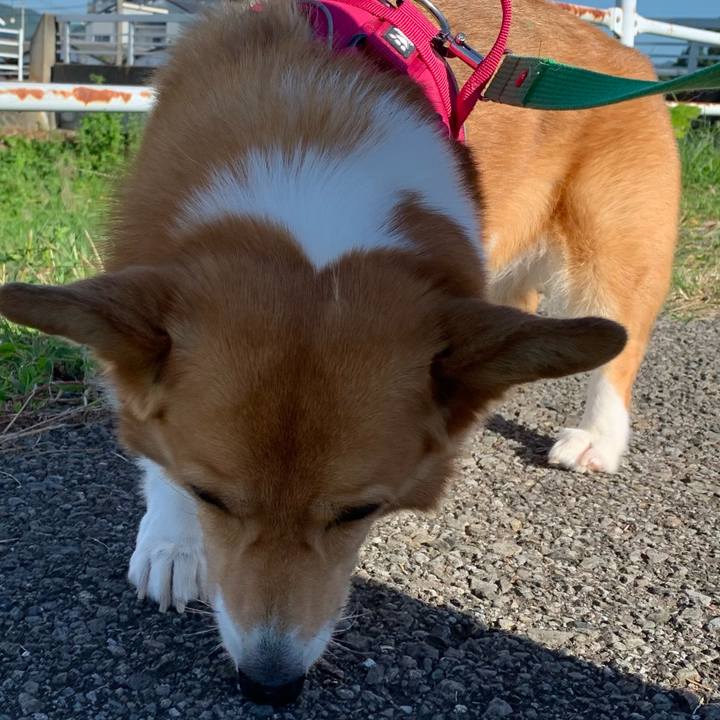 E038449f d207 4b70 a5c1 ea836f62ef95 1632183845009