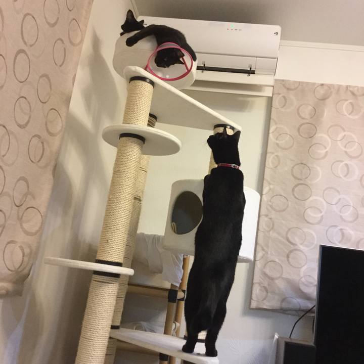 E0389601 c948 4248 8cbb 9a761e1b552e 1556767126776