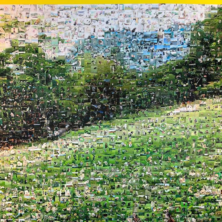 E038fc64 4e35 4253 b0c4 cebe85ba5539 1780666723888