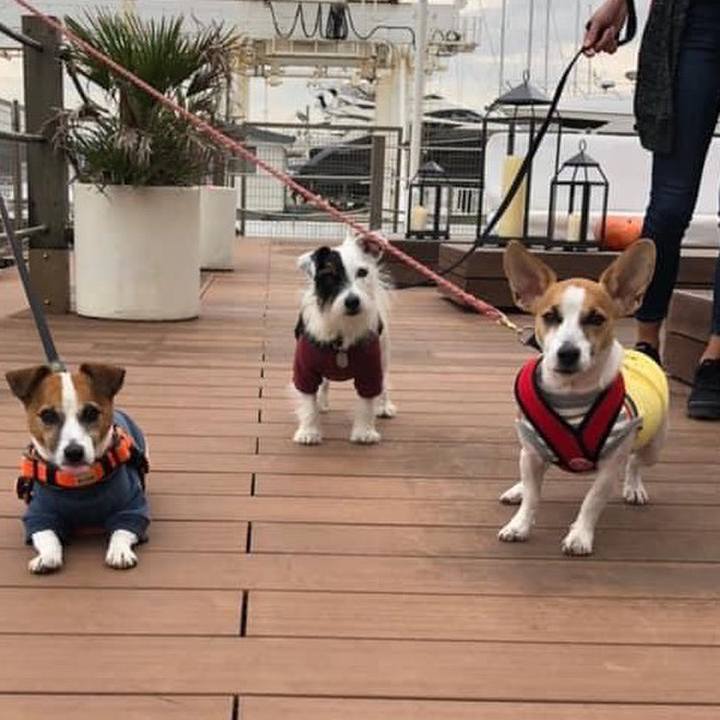 E0392b57 8130 44e5 88f3 ea1f4860e906 1603233645196