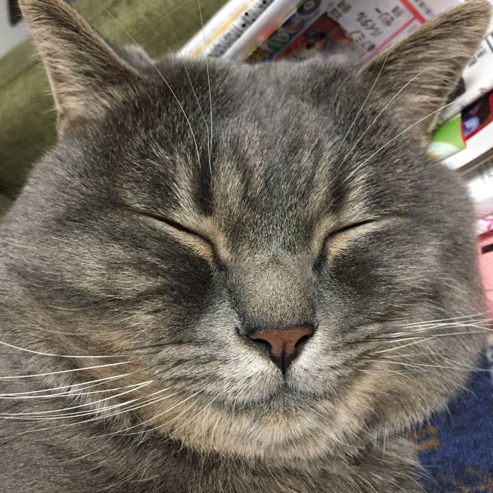 E0393324 43d7 4b76 9f33 877240ebe98c 1665874089648