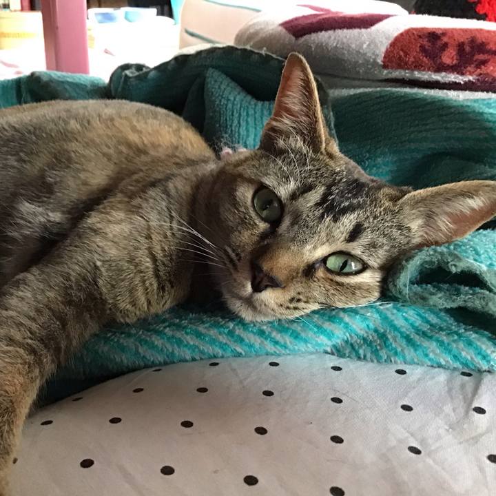 E0393757 db0c 4ad3 a4c5 6aac35007ad4 1590826989044