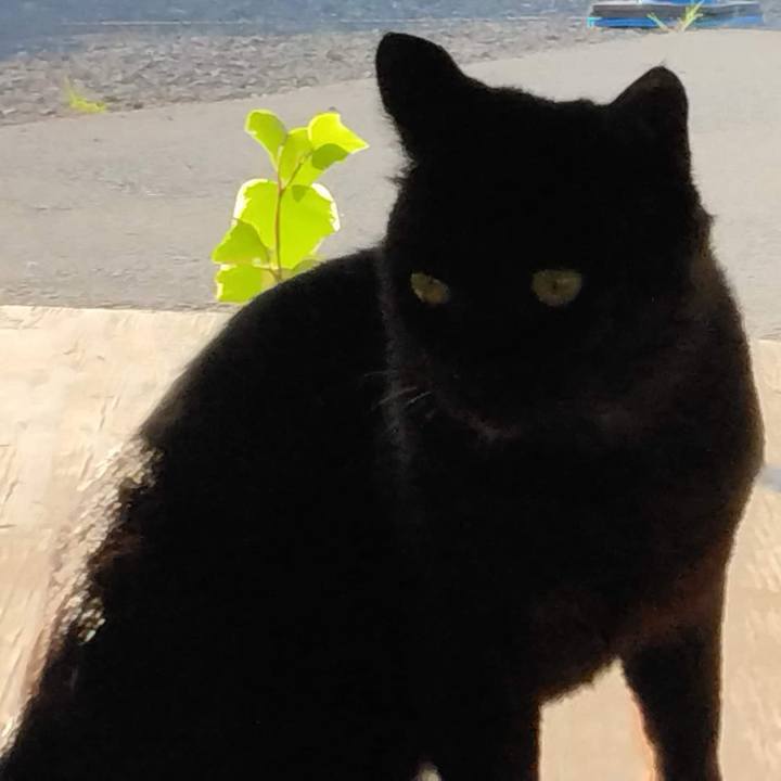 E0396292 a9cb 463c 9908 0392869596f6 1663331042910