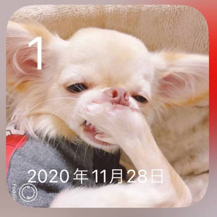 E0397d89 2573 4959 88e3 6efa569c6847 1733475631214