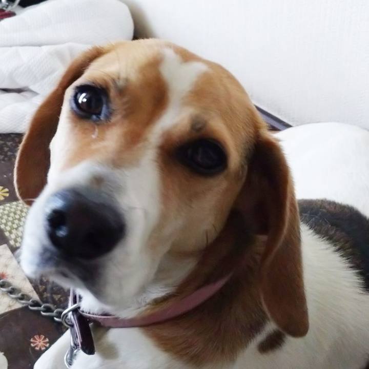 E03983ee d029 48f9 aca9 b703eb624802 1592285994112