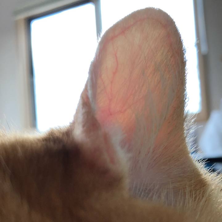 E03991d6 5382 46f3 8475 263d60c628b3 1628755449447