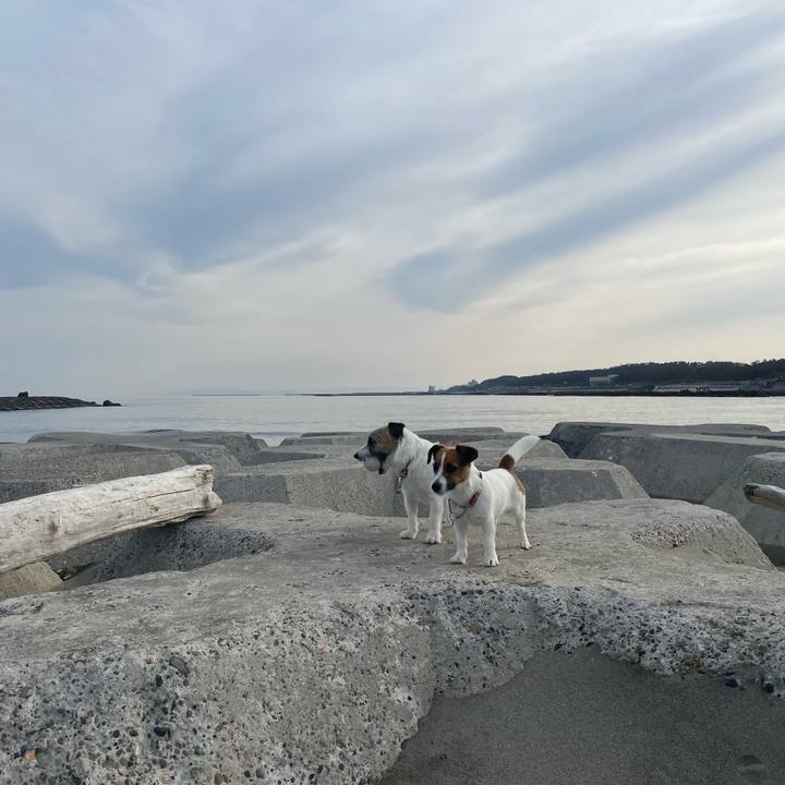 E0399667 491a 4a4d bf68 ce7ad0886643 1647997011831