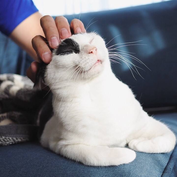 E03996b0 02a7 4501 861a 64c47e3ec630 1531223958471