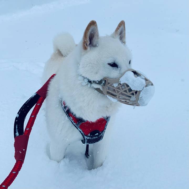 E0399864 6b58 4c00 842e 92669feb989d 1641348703159