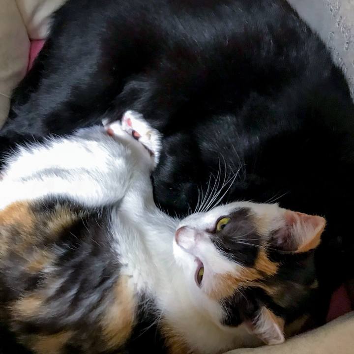 E039a98d 6237 4281 a1e7 79e646cc1936 1509201213216