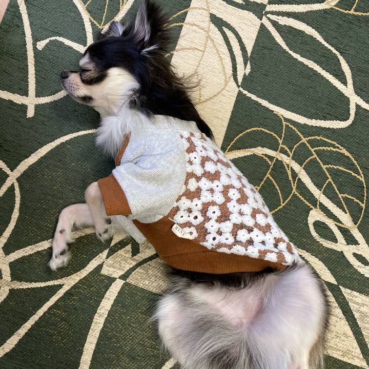 E039b003 db9b 4997 bf4f 9669778e5eab 1643429456239