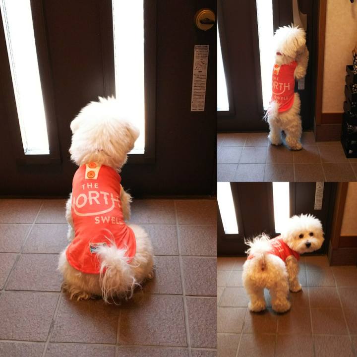 E039b27e 63e7 47eb 8072 a2e51b43893f 1510284874185