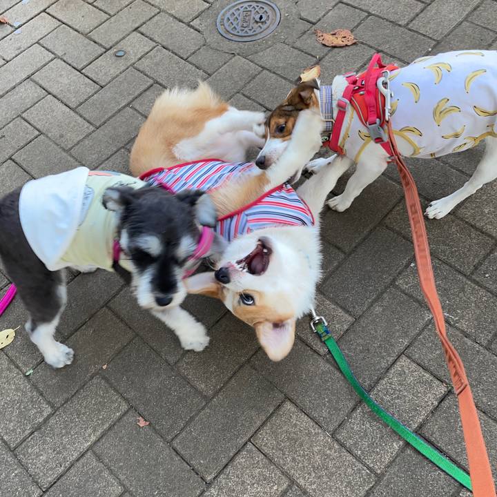 E039c539 e23c 4623 902d 7941f4c4f393 1696208871472