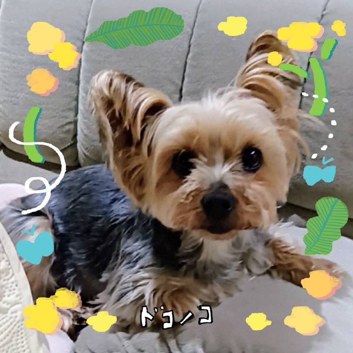 E039ce49 a2e8 43ce 9975 6bfdc2a8b368 1744511673858