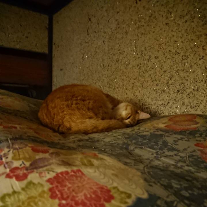 E039e063 6ba7 45af babf 3033d56fb225 1601728076011