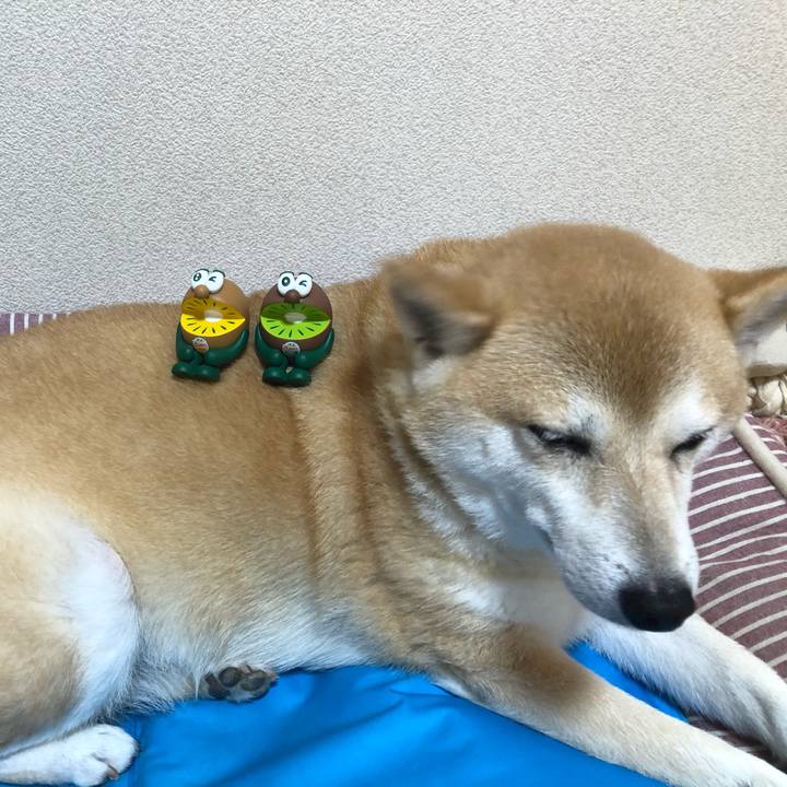 E03a22c1 90f0 486e 9997 57b8f2a86d84 1600243604326