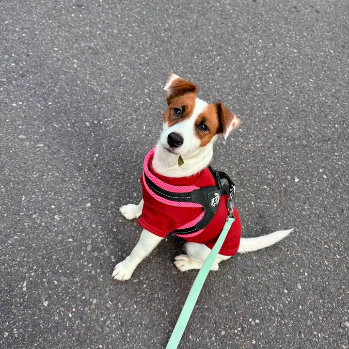 E03a39e2 7fb9 4b77 946b df499d7dcfd0 1765164895571