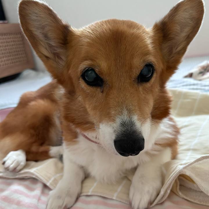 E03a73de e30b 47cf 8dad d80f3be36e7e 1755744436057