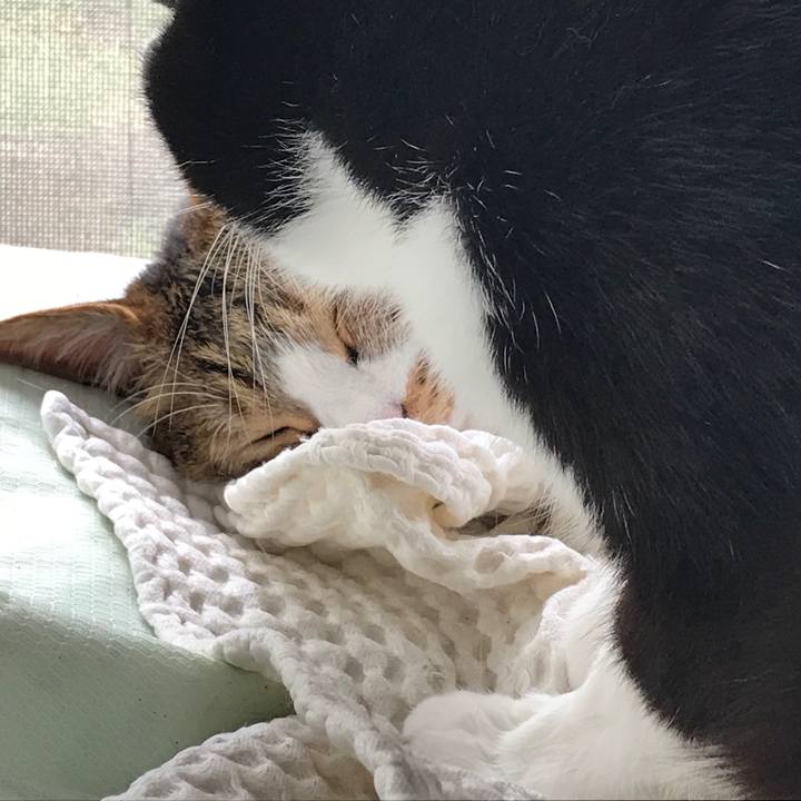 E03a74c4 dfe5 4c82 9202 28b75ad1f670 1522979977708