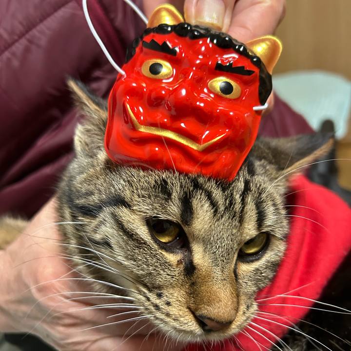 E03a8e84 b541 489a 9911 1d35e21071aa 1738404293128