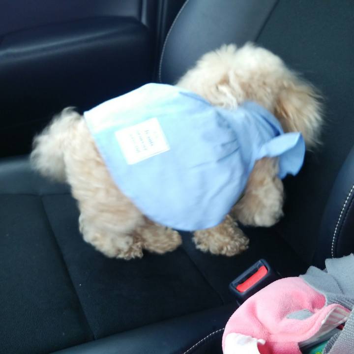 E03ac722 6d64 4583 8961 5ac721aea755 1555749055479