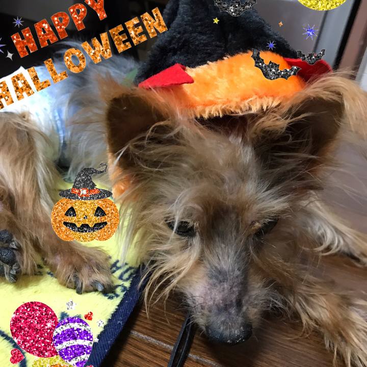 E03acf3d 05a9 4253 8fcf e0dd6d74e605 1540967709369