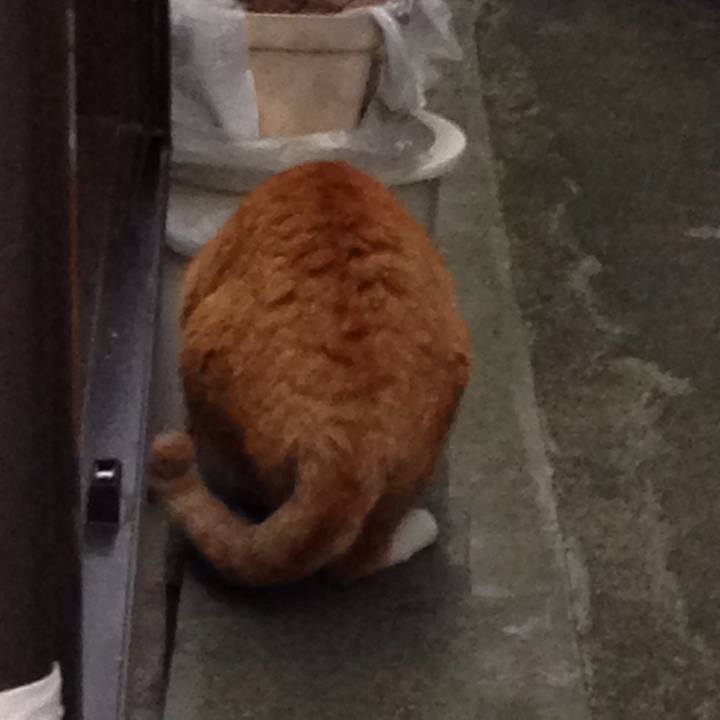 E03ad34e c20c 459b b855 ee5b5d3e0631 1511881519035