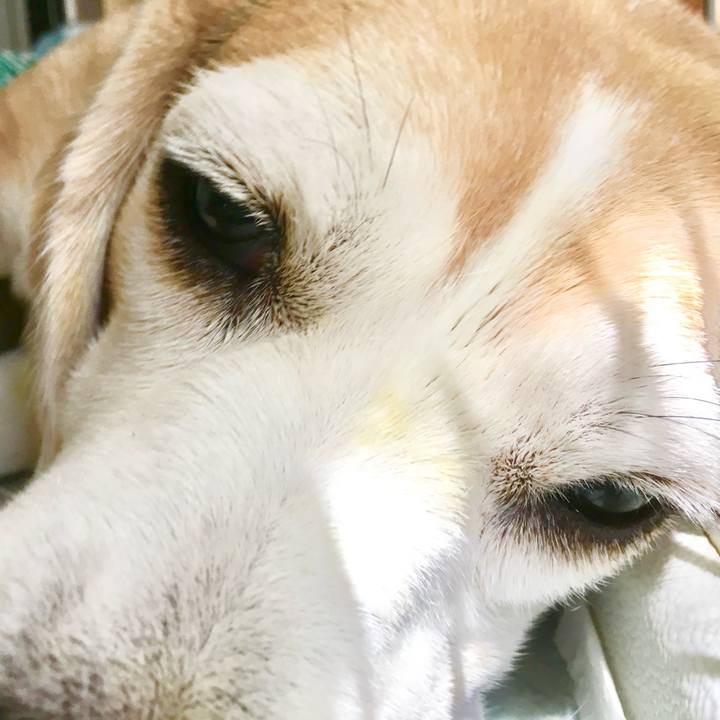 E03b0a35 50c9 4849 9293 0561b873355d 1757415284795