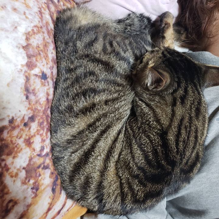 E03b1669 1184 4e2a 82b1 3457b43fedbd 1548972776328