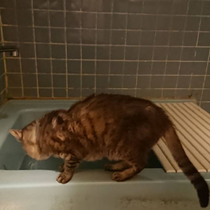 E03b28f8 db26 4b40 baa5 dba713cb66bf 1568715143009