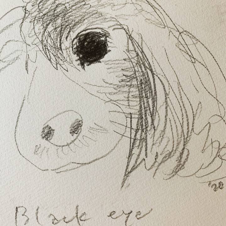 E03b5fa1 a1fc 4be3 b2d6 e51d459f1feb 1579099289986