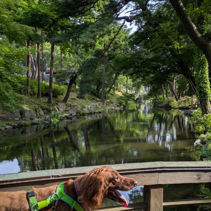 E03b77cf 411a 4225 b523 a501cc4596bc 1755777497682