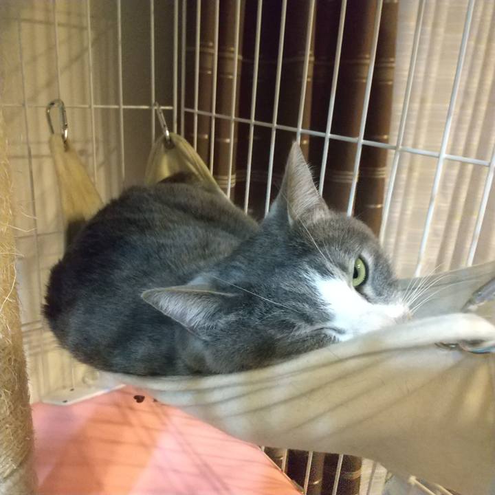 E03b9a33 bff4 4b6c b1e3 0064a381eb54 1648460033564