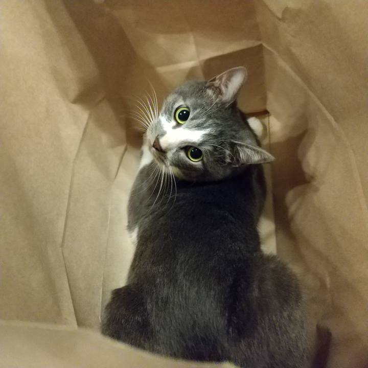 E03bb94a 2d55 46b8 b23c 0f2591dc5922 1603722390771