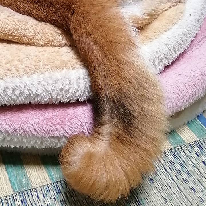 E03bd4e8 24a4 412c 995e 7280541baa79 1595602361995