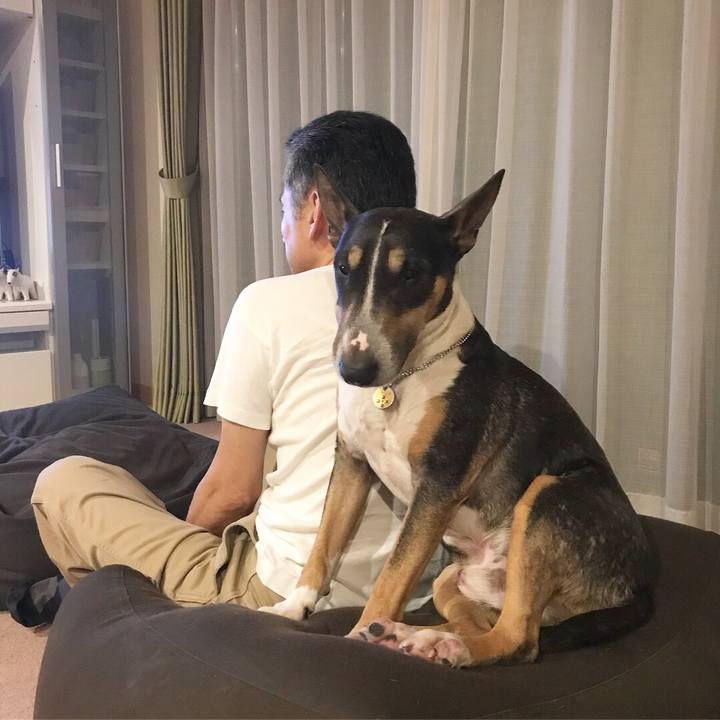 E03bd9ae ca0d 4f61 b5f5 ec6e832ad650 1527252646550