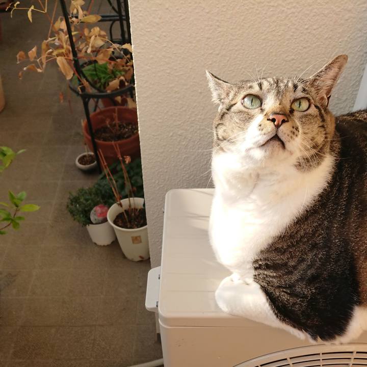 E03bef37 f1f0 461e b21b 8341346e82b6 1576020580097