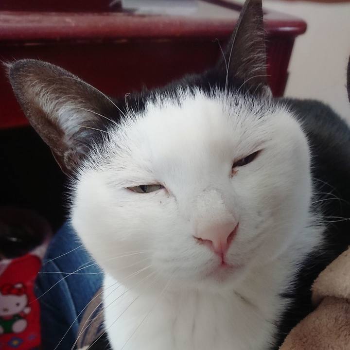 E03c0155 9be1 43f1 88cc 6656ab61563e 1553321883012