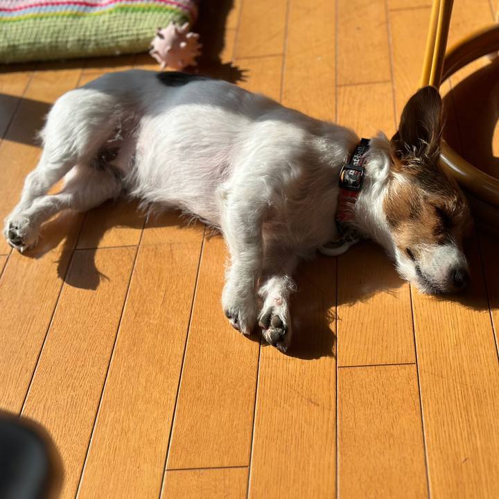 E03c37e6 5fcf 4dd4 972a 38278bfa4105 1763278548505